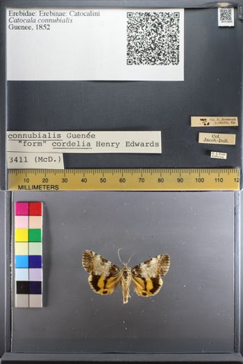 Media type: image;   Entomology 753869